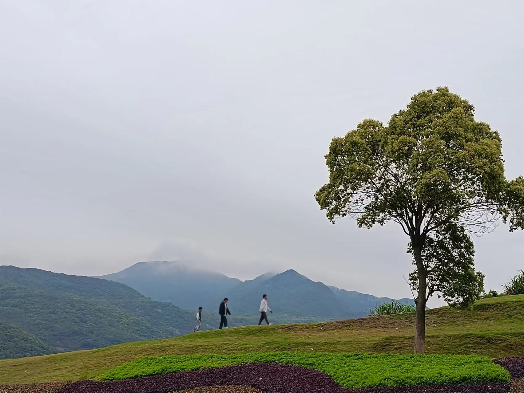 🏕️ 自驾宁波象山
